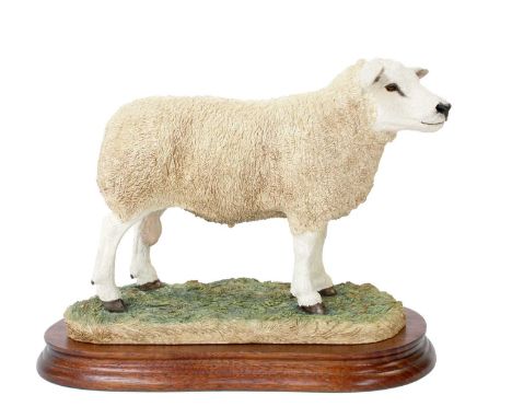 Border Fine Arts 'Texel Ram' (Style Two), model No. B0530 by Jack Crewdson, limited edition 227/1500, on wood base, with box 