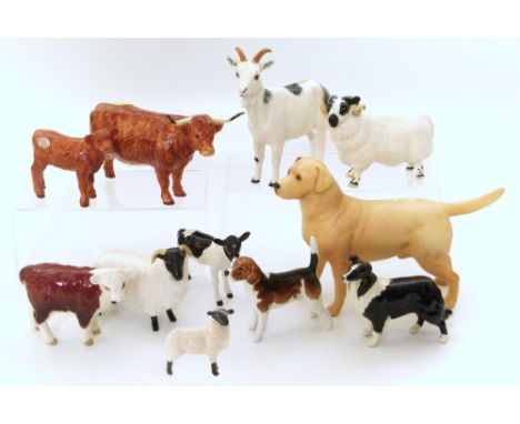 Beswick Labrador, three sheep, two calves, a collie and a beagle and also a border Fine Art highland cow and calf Unfortunate