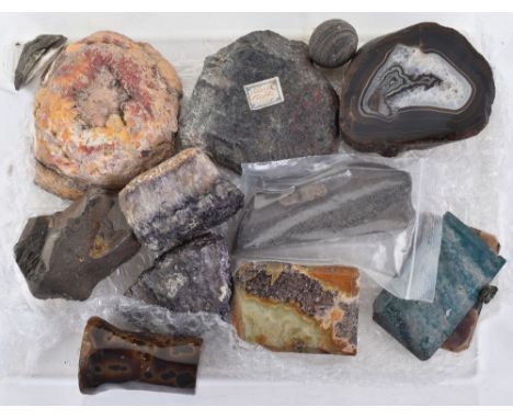 Assorted fossils and polished specimen hardstones, comprising 2 Amethyst, 4 agates, serpentine, leopardite (?), rock crystal,