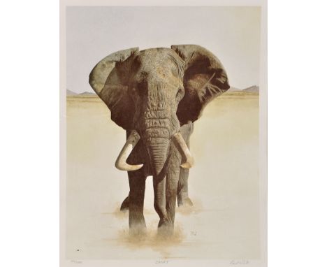 James Williamson-Bell, SWLA
"STAY!" - STUDY OF A TIGER
signed Artist's proof
lithograph
43 x 29.2cms; 17 x 11 1/2in., unframe