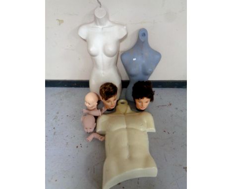 A crate of three twentieth century mannequin torso, heads etc 
