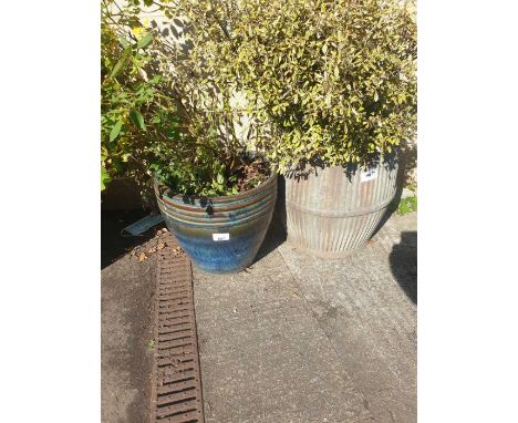 Large blue glazed plant pot with plant along with a galvanized planter with plant