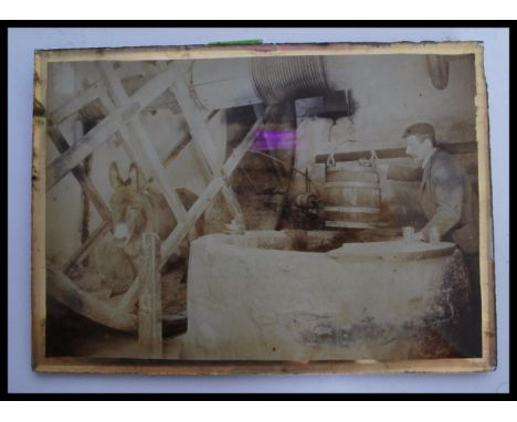 A vintage early 20th century photograph on glass depicting The Well at Carisbrooke castle with man at the well and donkey on 