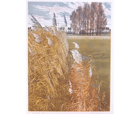 Graham Evernden (b.1947) - Lower Green, lithograph, signed, titled and numbered in pencli to the margin 88/200, 40 x 30cm; an