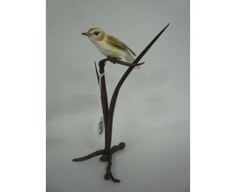AN ALBANY WORCESTER PORCELAIN BIRD 'WARBLER', perched on metal reeds/branches