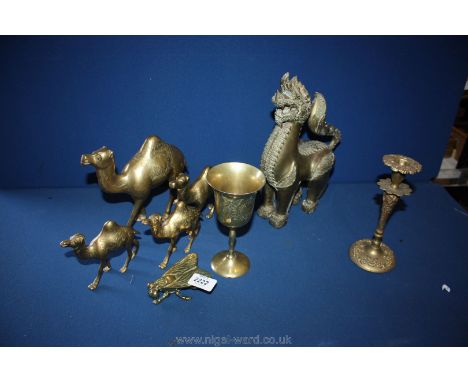 A quantity of brass including heavy Chinese dragon, camels, fly trinket pot