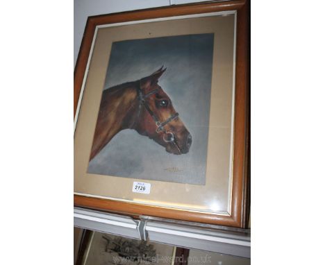 An Oil Portrait of a Horse, signed