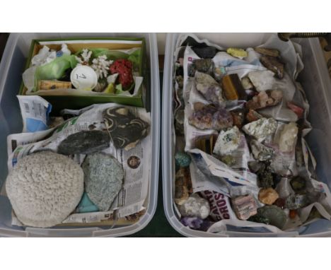 Two boxes of assorted mineral, coral and fossil specimens