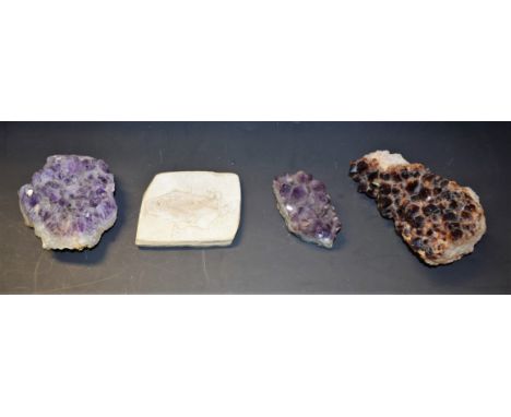 Geology - a quartz and calcite specimen, 13cm wide; others, amethyst quartz; a fish fossil, 10cm wide, probably Devonian peri