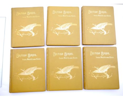 Arthur Gardiner Butler: 'British Birds, with their Nests and Eggs.', illustrated F.W. Frohawk, London &amp; Hull, Brumby &amp
