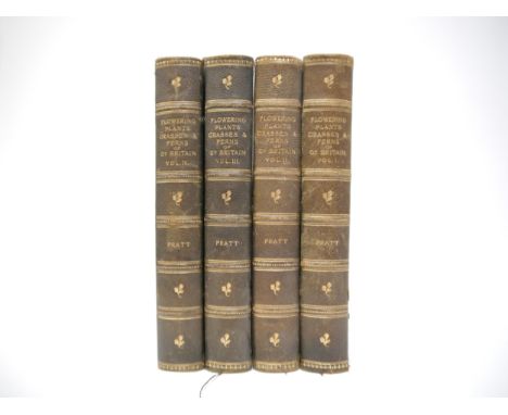 Anne Pratt: 'The Flowering Plants, Grasses, Sedges &amp; Ferns of Great Britain', London, Frederick Warne, 1899-1900, new edi