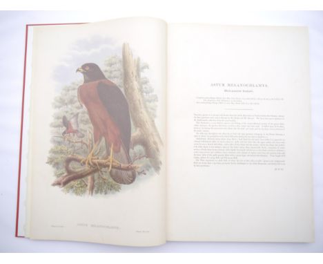 John Gould &amp; R. R. Bowdler Sharpe: 'The Birds of New Guinea and the Adjacent Papuan Islands, including Many Recently Disc