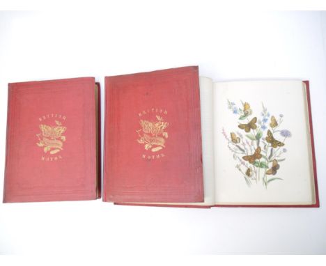 (Butterflies &amp; Moths, Lepidoptera.) John Obadiah Westwood &amp; Henry Noel Humphreys: 'British Butterflies and their Tran