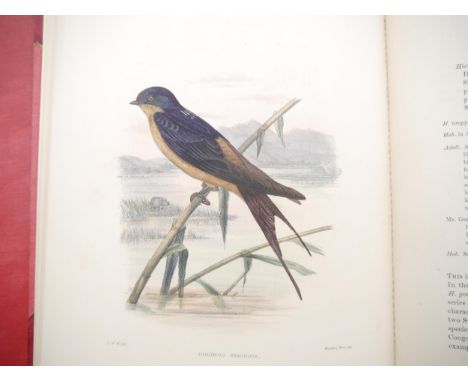 Richard Bowdler Sharpe &amp; Claude Willmott Wyatt: 'A Monograph of the Hirundinidae, Family of Swallows', London, for the au