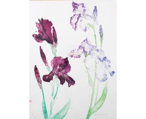 DAME ELIZABETH BLACKADDER O.B.E., R.A., R.S.A., R.S.W., R.G.I., D.Litt (SCOTTISH 1931-2021), PURPLE IRISES, Printmakers Works