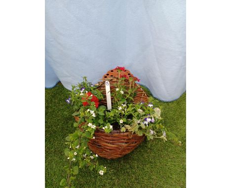 Red White and Blue wall planter. Not available for in-house P&amp;P 