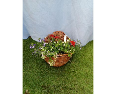 Red White and Blue wall planter. Not available for in-house P&amp;P 