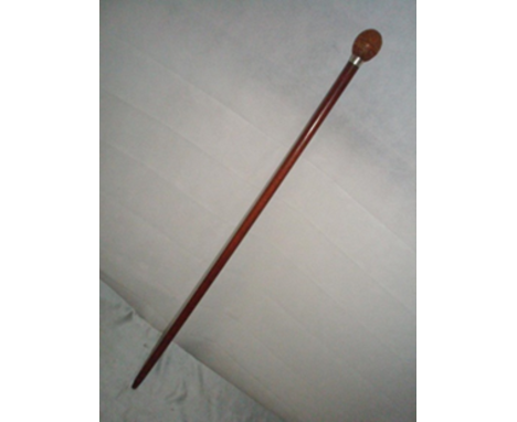 An attractive gadget cane featuring a handle fashioned from a coquilla nut. The shaft, which is unusually heavy,is of exotic 