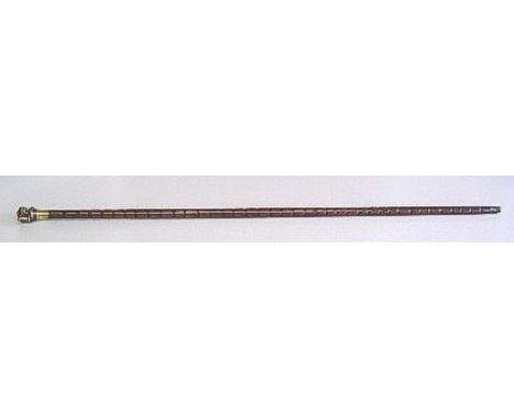 Cane With Brass Magnifying Glass.This is a very interesting and useful gadget cane. The top consisting of a small magnifying 