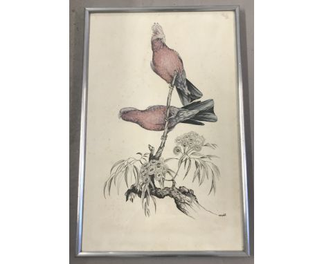 A vintage framed and glazed print of two pink parrots by BT Wigden. Dated 1975. Frame size approx. 6 x 42cm.