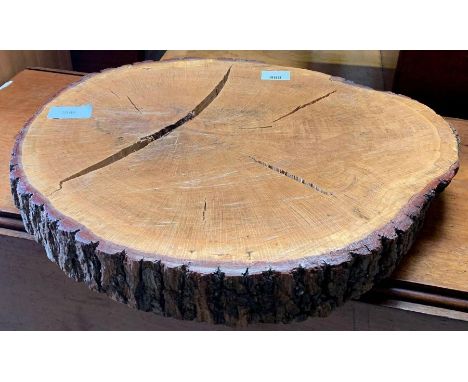 Tree trunk slice