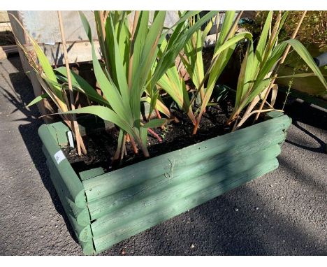 Wooden trough planter including plants