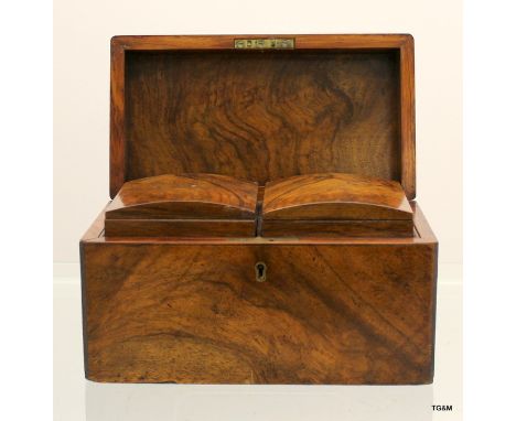 A twin caddy tea chest in walnut