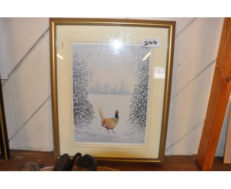 PHEASANT IN A WINTER LIGHT LIMITED EDITION SIGNED PRINT RAY CANHAM