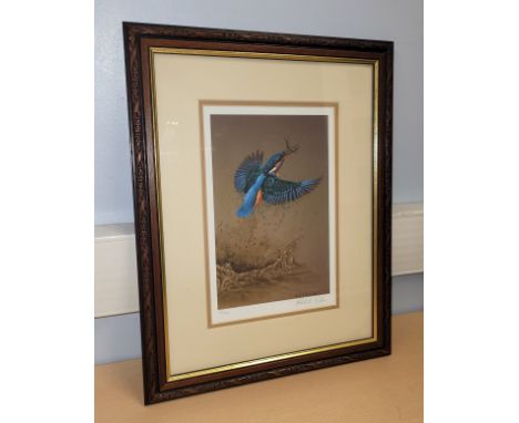Robert E Fuller (British 1972-): Kingfisher with Fish in its Mouth, a limited edition colour print, signed and numbered, 36/2