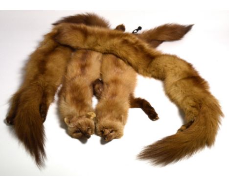 Two vintage fox fur wraps, one with label for Mr J.J. Fenwick, French Salon of Newcastle Upon Tyne (2)