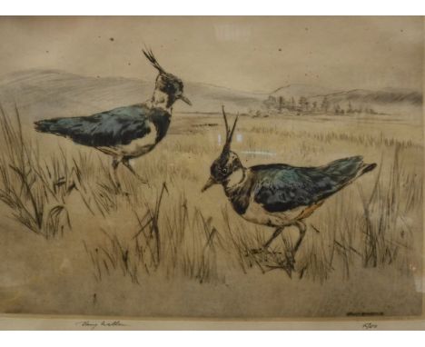 AFTER HENRY WILKINSON "Lapwing in field", limited edition colour print, No'd. 50/150, signed in pencil lower left, together w