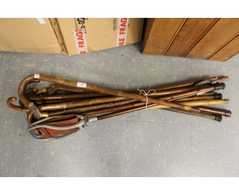 Bundle of walking sticks and shooting stick