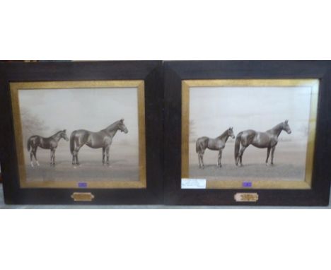 A pair of oak framed racing photographic prints by Clarence Hailey, Newmarket, 'Pride of Lothian' and 'Tie Ruby, Ruby Firenze
