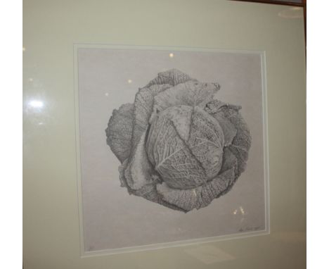 Ann Swan SBA (Contemporary, British) A limited edition print of a cabbage, 1990, 15/250, 30cm x 31cm, signed and dated in pen