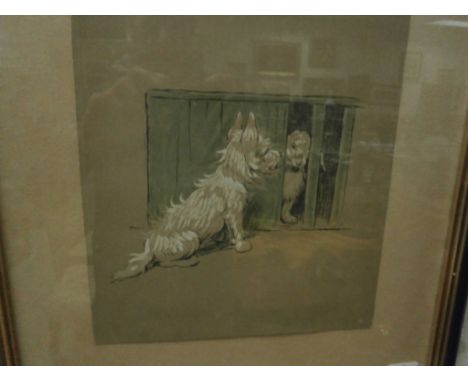 Cecil Aldin early 20th century ; an original humerous terrier garden print