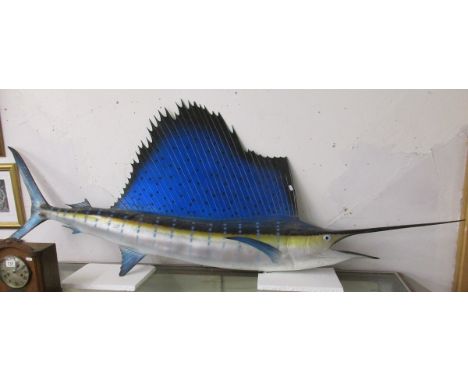 Large model Sailfish