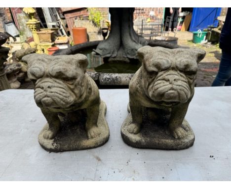 English Stone Pair of Bulldogs on plinth base
H37cm