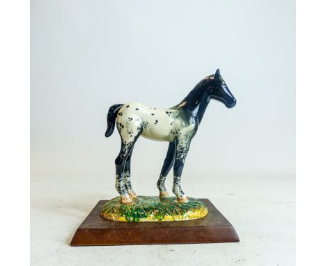 Royal Doulton model of a Appaloosa Foal on grassy base, RDA35, from the horse &amp; pony collection,h.17cm.