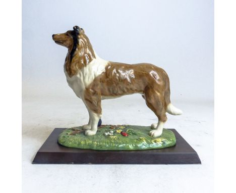 Royal Doulton model of a Rough Collie on wood base, RDA9, from the working dog collection,h.18cm.