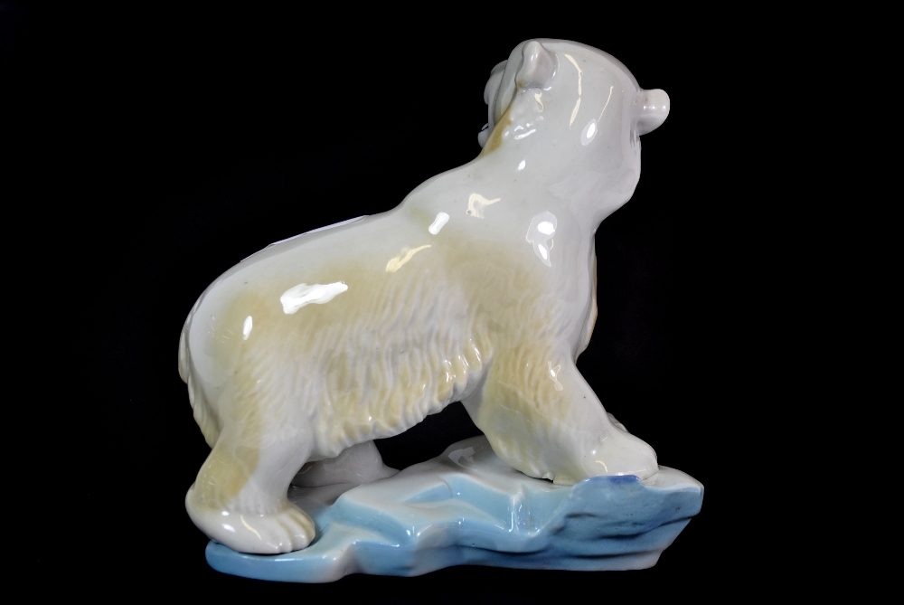wade polar bear