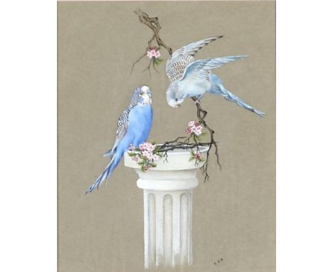 British School, 20th c - Budgerigars, signed E.J.S., watercolour on light grey paper, 26 x 21cm  Good condition