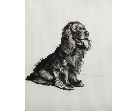 Cecil Aldin (1870-1935) British. "A Most Popular Gentleman", Etching, Signed and numbered 9/100 in Pencil, 11" x 8.75".