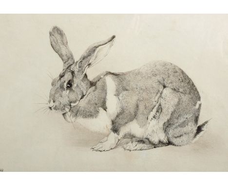 Winifred Maria Louise Austin (1876-1964) British. "The Rabbit", Etching, Signed in Pencil, 8" x 12". Provenance; Royal Exchan
