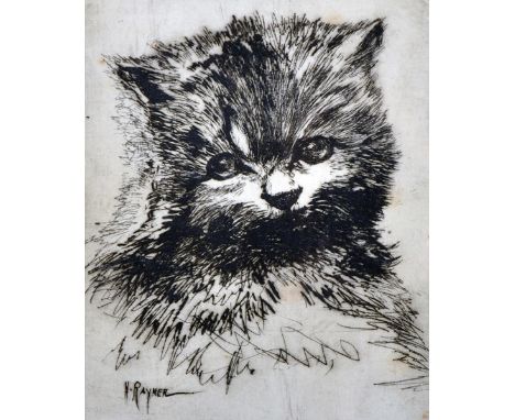 Henry Rayner (1902-1957) British. 'Persian', study of a Cat, Lithograph, Signed and Inscribed in Pencil, 7" x 5.75", together