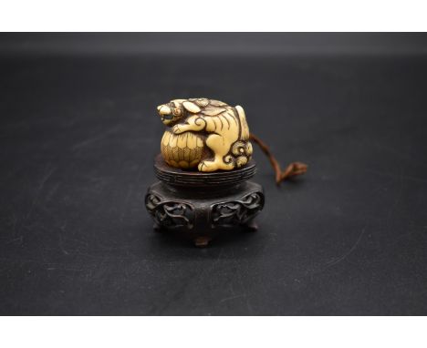 A good Japanese carved ivory netsuke,&nbsp;Edo, depicting a shishi on ball, 4cm long, on fitted hardwood stand. 