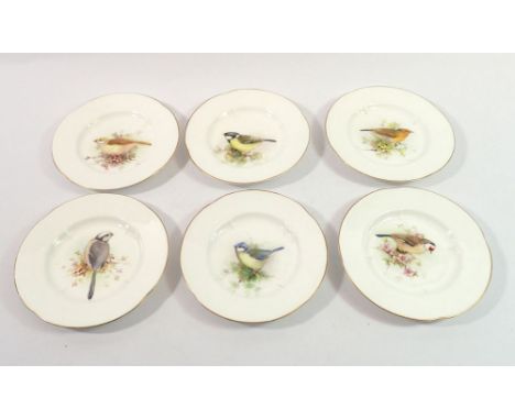 A set of six small Royal Worcester plates painted birds, 13cm diameter 
