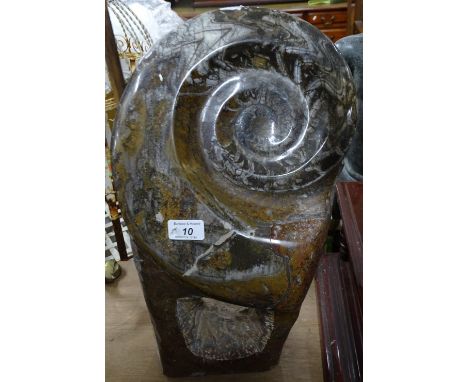 A large ammonite fossil.