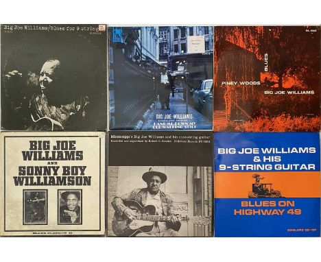 BIG JOE WILLIAMS - LP COLLECTION. A collection of 12 x LPs. Titles include Big Joe Williams - Piney Woods Blues (DL-602, Ex/V