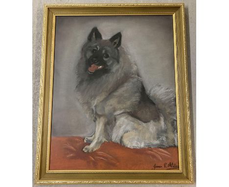 A gilt framed &amp; glazed pastel pet portrait of a dog, signed to lower right. 