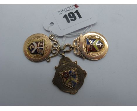 Three 9ct Gold Medallion Pendants, each highlighted in enamel (total weight 17.5grams). (3) 